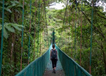 Eco-Tourism Brings Sustainable Adventures